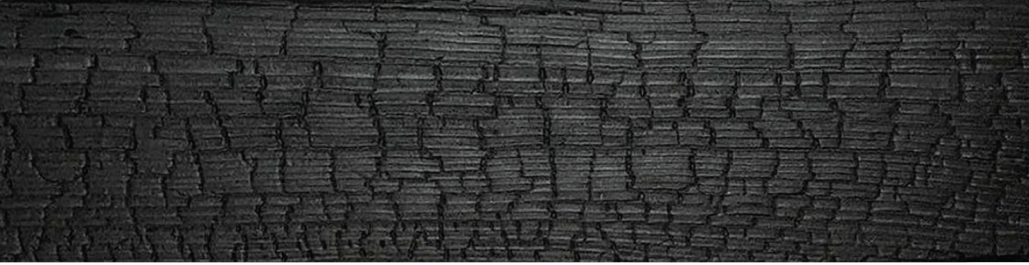 Aligator Skin