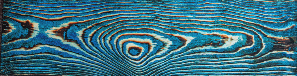 Sapphire Walnut