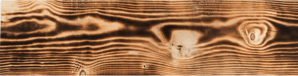 Flame-kissed Pine